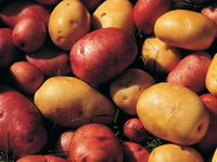Potatoes