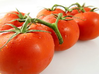 Tomatoes