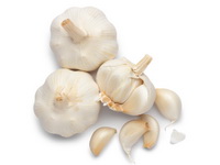 garlic1