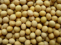 soya
